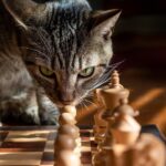人生の経営戦略 自分の人生を自分で考えて生きるための戦略コンセプト20